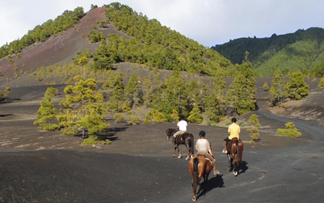 Rutas a caballoen La Palma